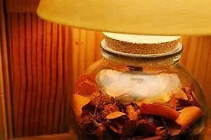 巴士底里昂9号酒店 巴黎